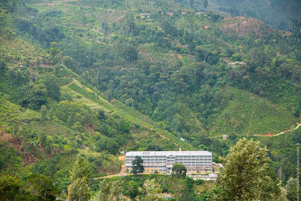 Cannavarella Estate : Nurturing Land, People and Heritage Since 1880